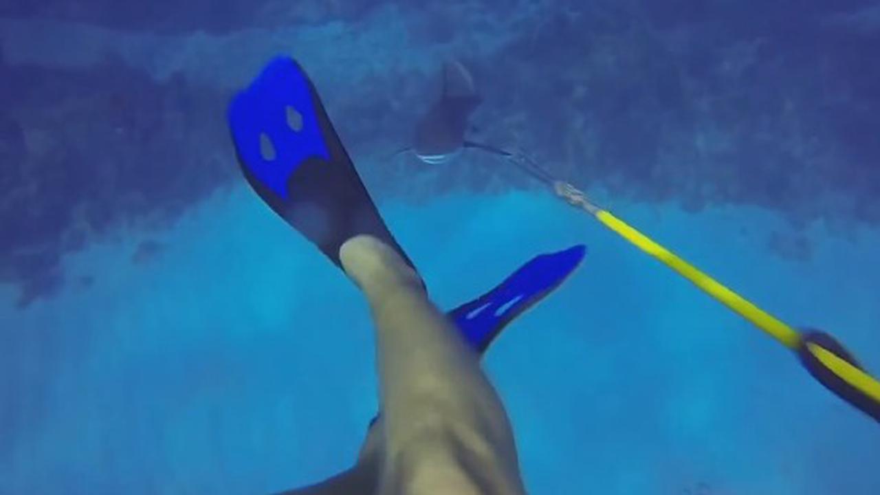 The Biggest Jerk In The Sea