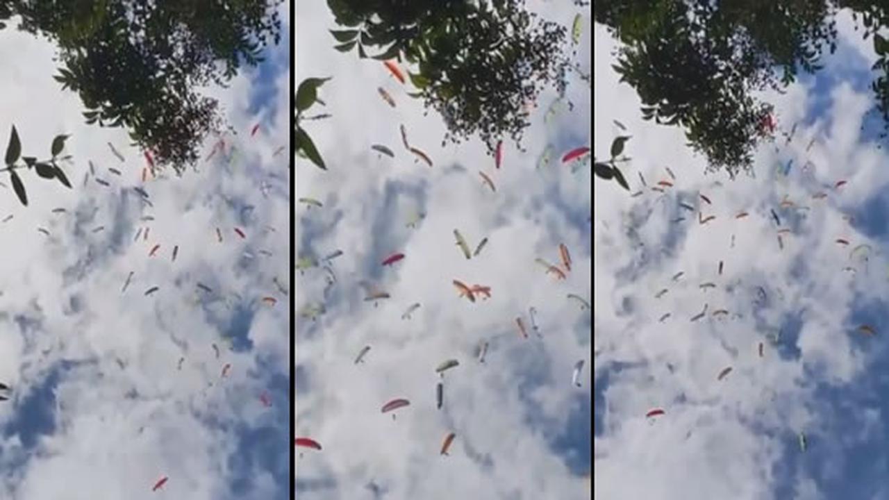 When You Take A Shortcut Then Realize Everyone Else Took It Too