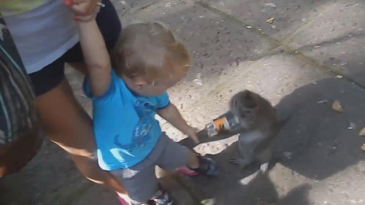 No One Ever Suspects The Little Guy