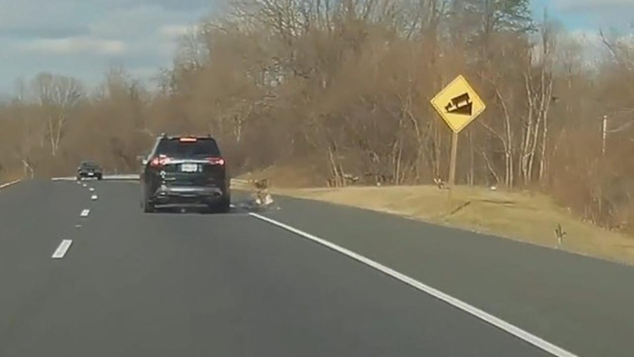 Why It's Always Best To Cross At The Lights