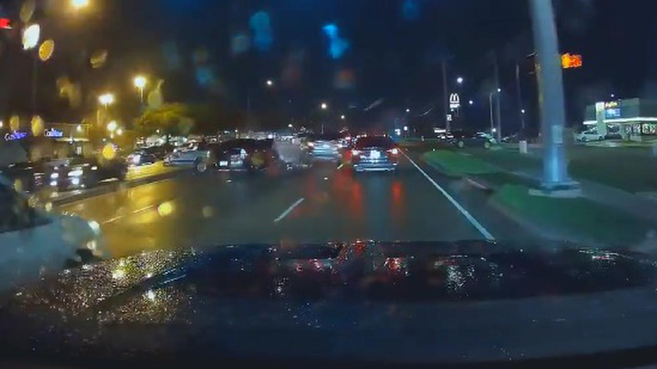 When One Car Tries To Mate With Another In The Wild