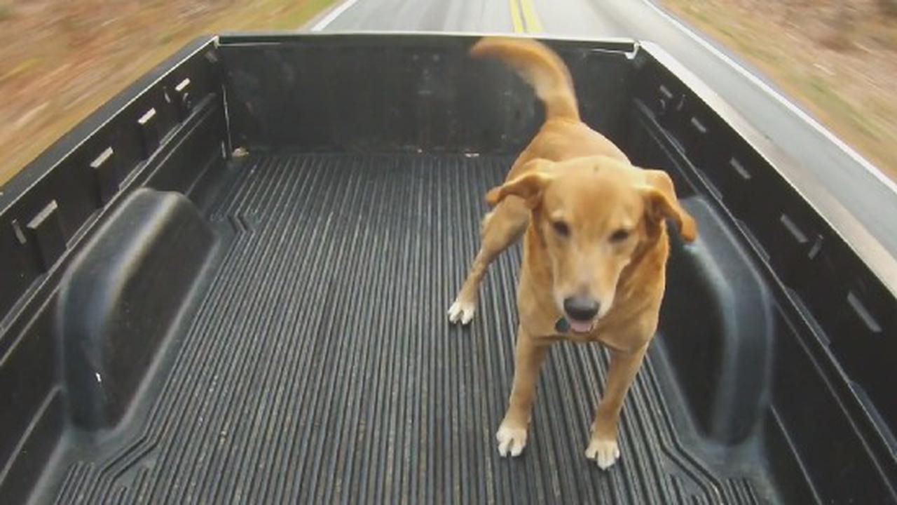 If You're Riding In The Back You May As Well Enjoy It