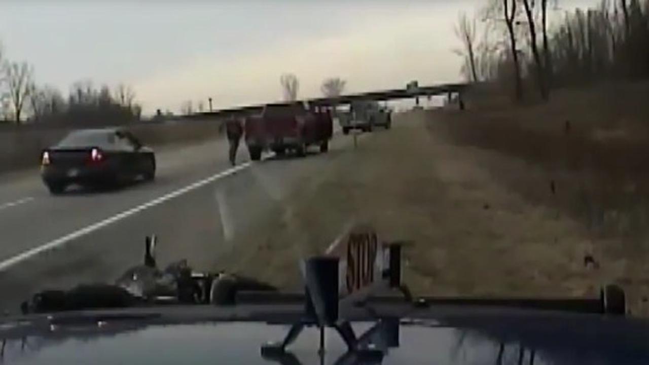This Is One Crazy Arrest
