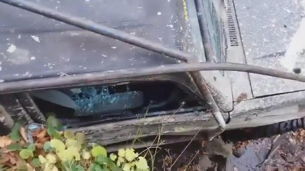 When Your Trip To The Woods Proves Why You Belong In The City