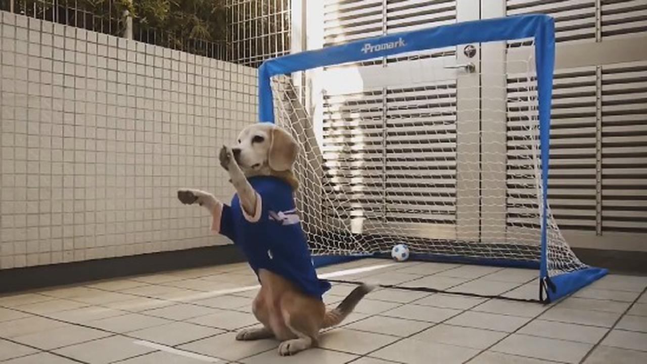 Finally A Reason To Like Soccer