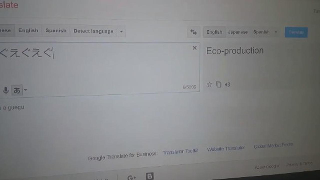Google Translate Can Say Anything, It's Not Like You Speak The Language, Right?