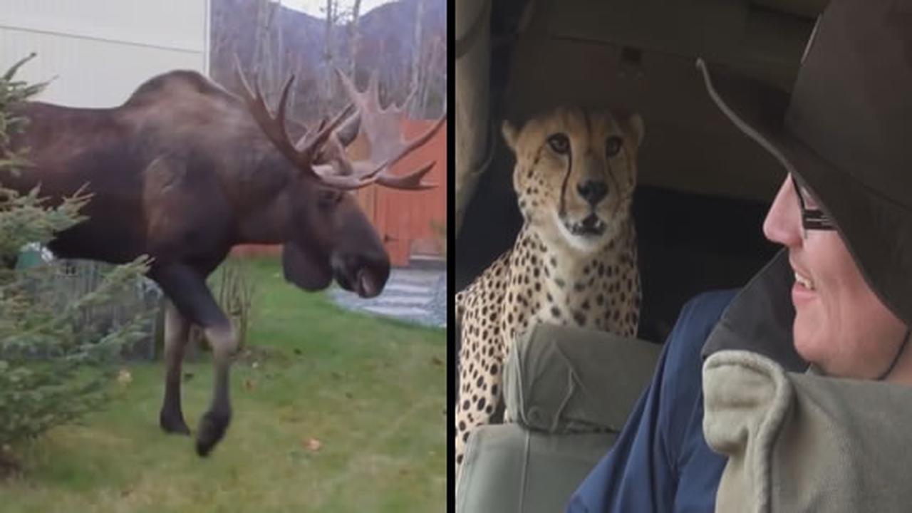 Nature Can Be Harsh Sometimes