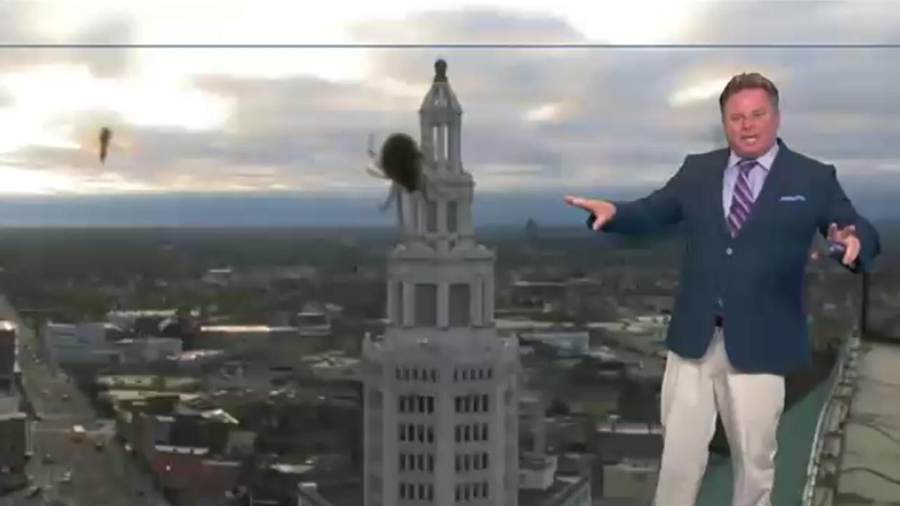 Spider Causes Weatherman To Lose His Damn Mind On Live Television