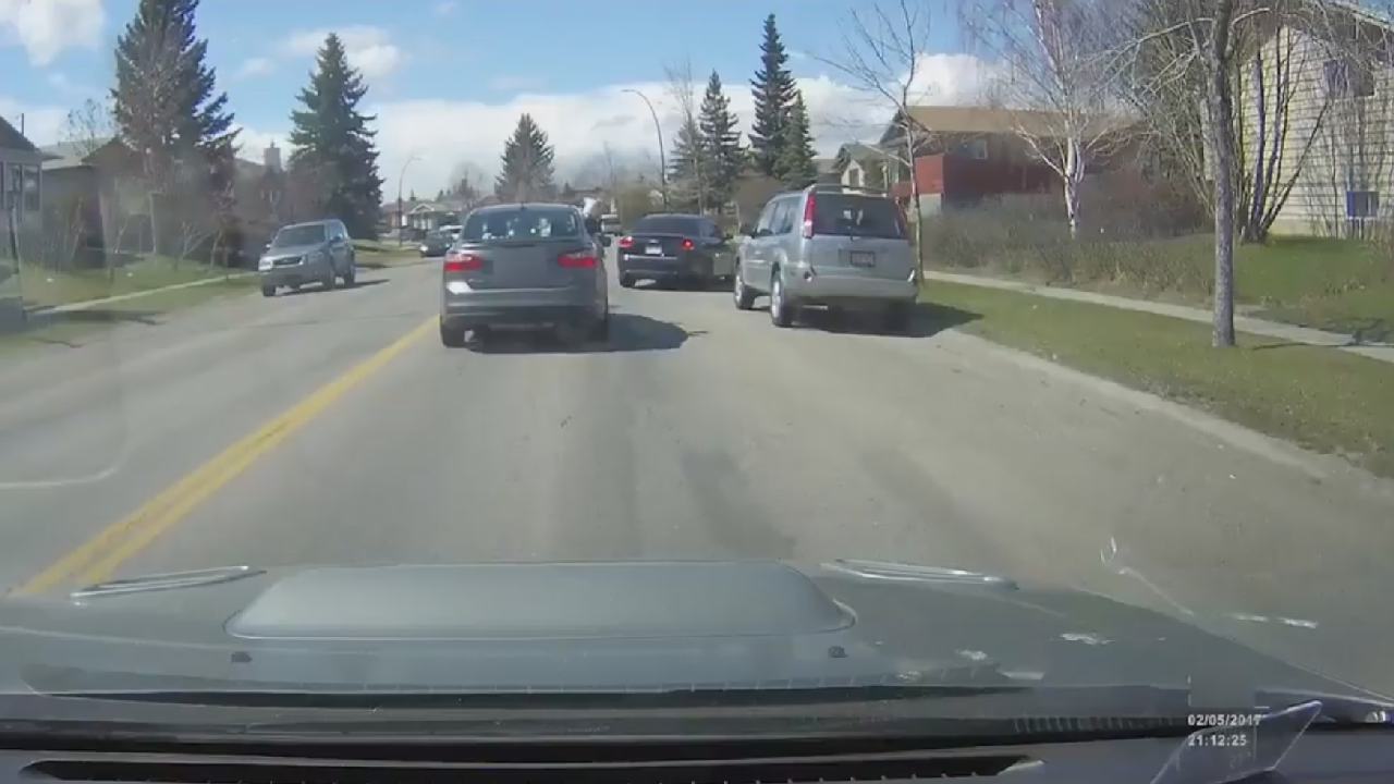 When The Driver And The Dog Are About As Smart As One Another