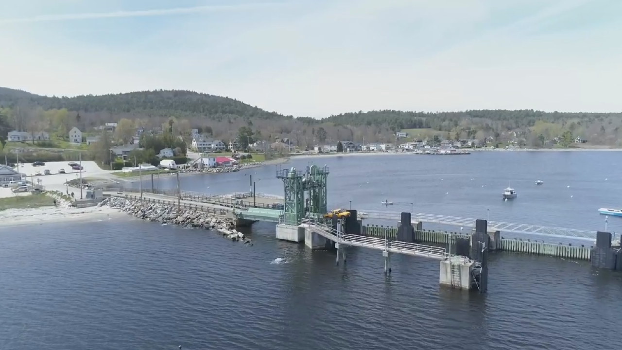 Looks Like Someone Was A Little Impatient To Get On The Ferry