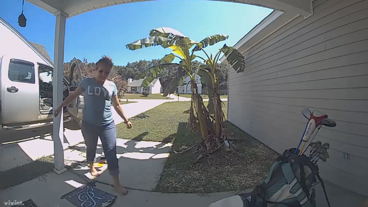 Another Dirty Thief Caught On Camera