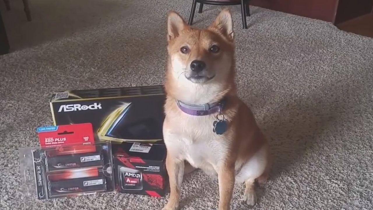 These Computer Repair Guys Seem Really Unqualified