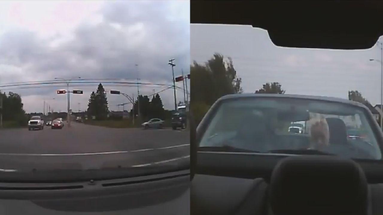 That Wasn't The "Go" Siren?