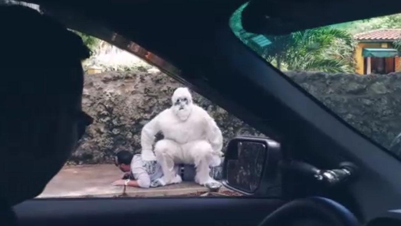 Miami Police Show You How To Use A Yeti To Stop Car Thieves