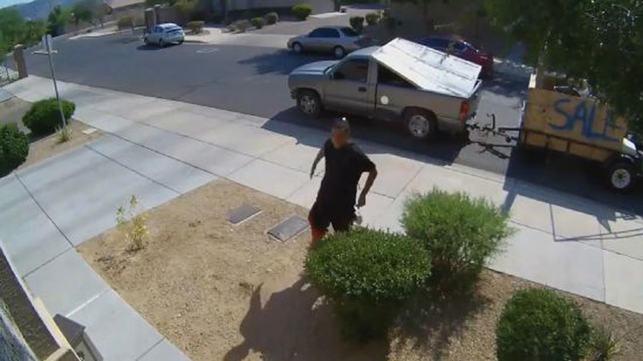 Oh Look, Another Lowlife Package Thief