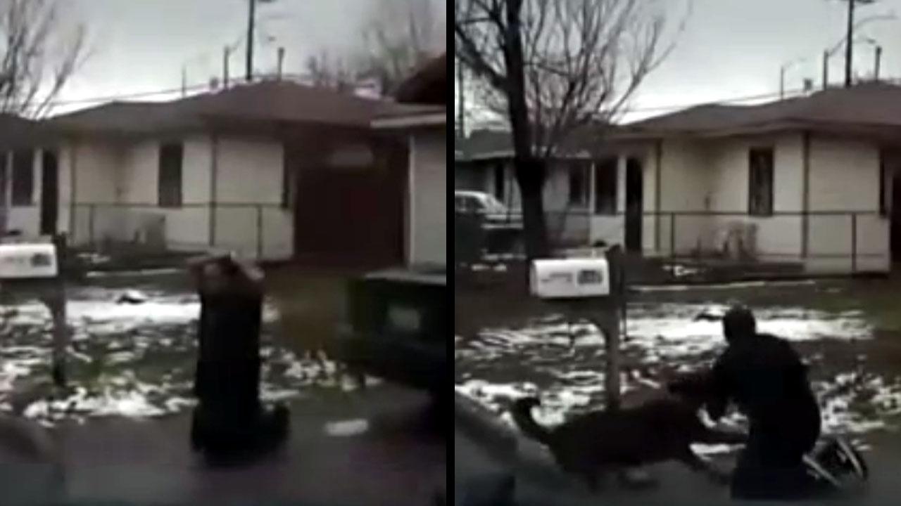 Do you think this cop was wrong to sic k9 on man who was surrendering?
