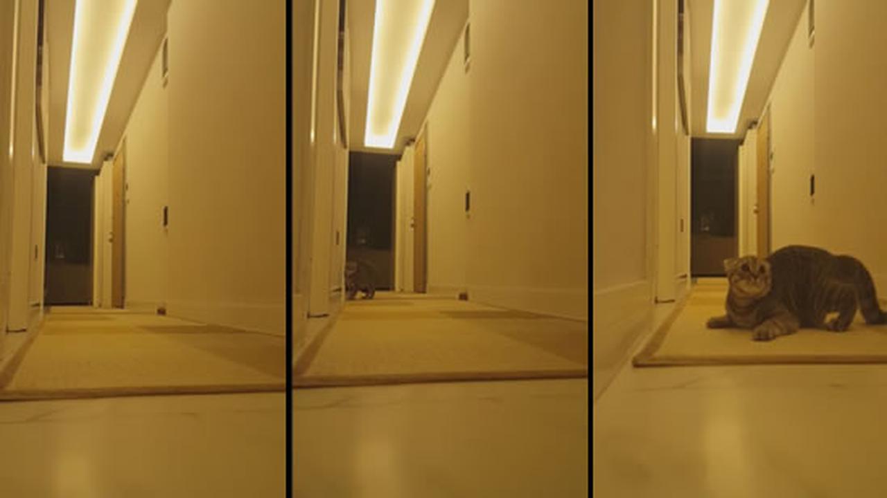 Practicing for a horror movie audition