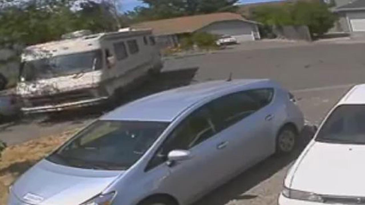 It'S Not His Fault, The Prius Came Out Of Nowhere
