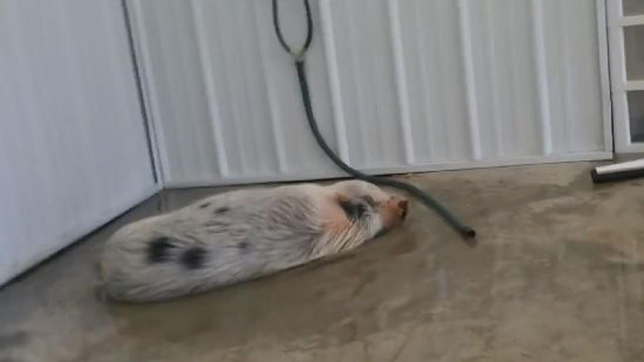 You'Ll Need A Bath To Clean Up From This Bath