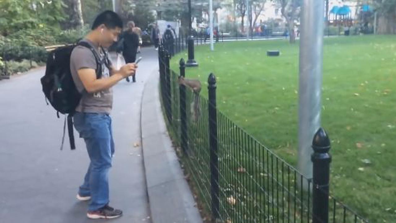 That Squirrel Is Such A Diva