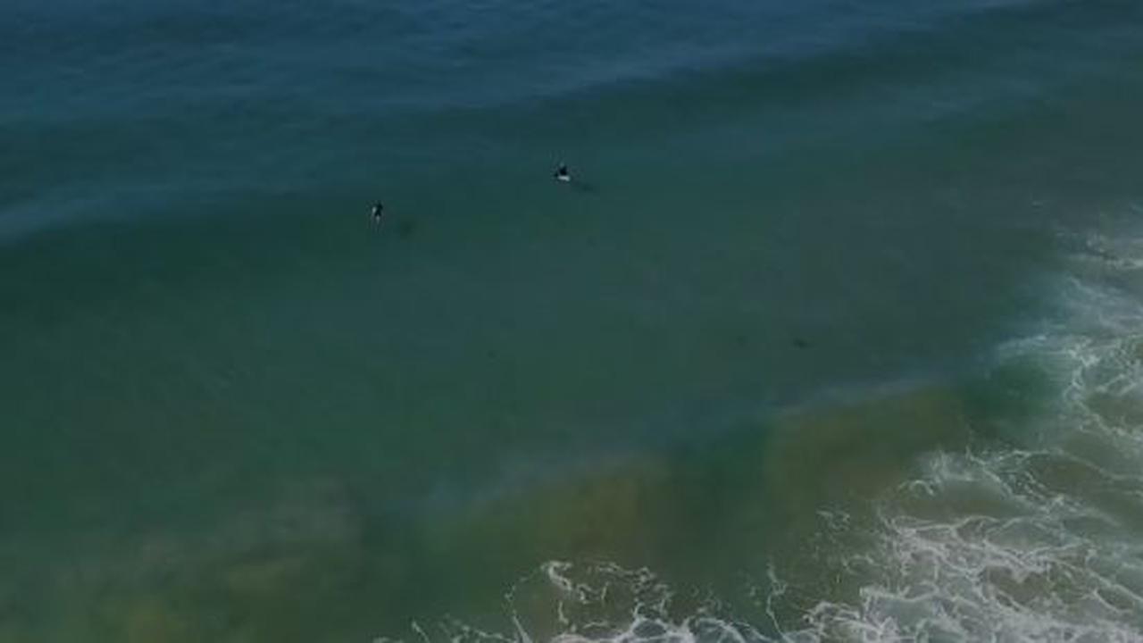 Time To Move Down The Beach