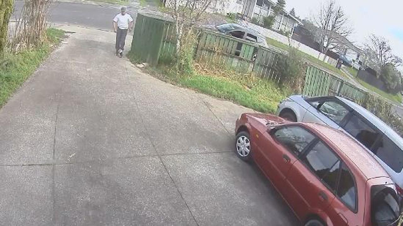 Do Thieves Just Not Know About Security Cameras?