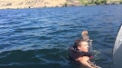 How Did This Deer Get So Far Out In The Water Anyway?