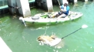 You've Never Seen A Fish Like This
