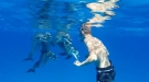 Saying Hello To A Friend With A Blowhole