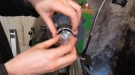 This Is Some Very Cool Metal Work