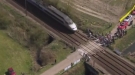 Train Interrupts Paris-Roubaix Bike Race
