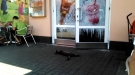 Clearly You're Meant To Move For The Cat, Not The Other Way Around
