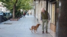 The Donor And The Dog
