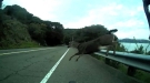 When You're Taking A Leisurely Bike Ride And A Deer Appears