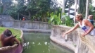 Smart Monkey Plays With Man At Zoo
