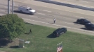 Police Chase Ends With Suspect Running Into Traffic