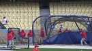 This Dude Has Caught A Heck Of A Lot Of Balls