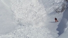 Can This Rabbit Outrun An Avalanche?