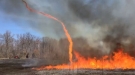 Ever Seen A Fire Tornado