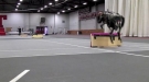 When A Robot Chases You Down One Day, Thank These Guys