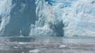 Watch This Glacier Collapse