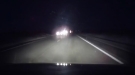 Would You Have Braked In Time?
