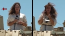 News Reporter Gets Harassed Relentlessly By Swarming Cicadas