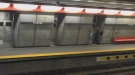 Behold The Subway Shadow Fighting Ninja