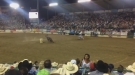 Place Your Bets: Horse Or Dirtbike?