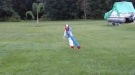 Worried About Those Creepy Clowns? This Won't Make It Better