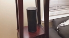 When Alexa Drops A Poop Joke
