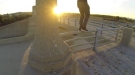 This Is What It's Like To Wander Free At The Sepulveda Dam