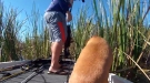 Relax Guy, It's Just A Fish