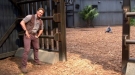 Chris Pratt Is A Stunt Master